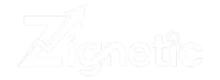 zignetic_logo__3_-removebg-preview-300x157